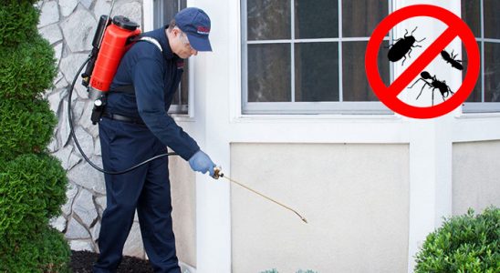 Demirköy Hamam Böceği İlaçlama böcek ilaçlama ve haşere kontrolü — ilaclama-tr.com
